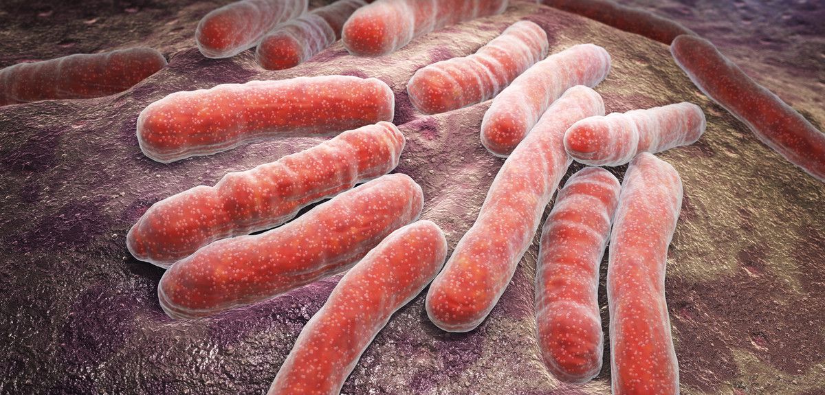 Mycobacterium tuberculosis, ilustracija.